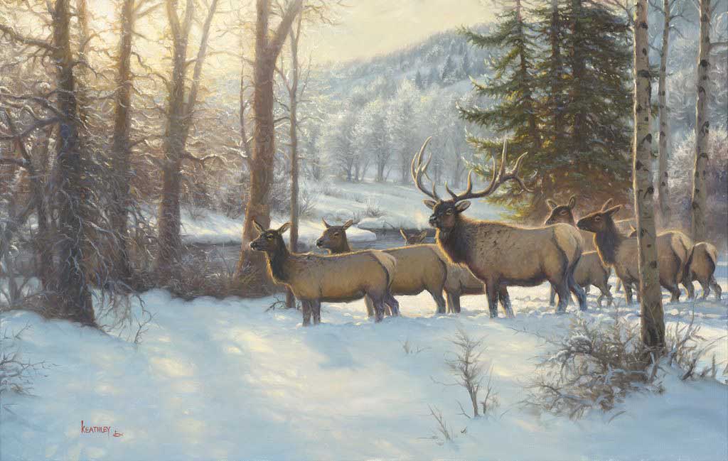 deer in the snow by mark keathley