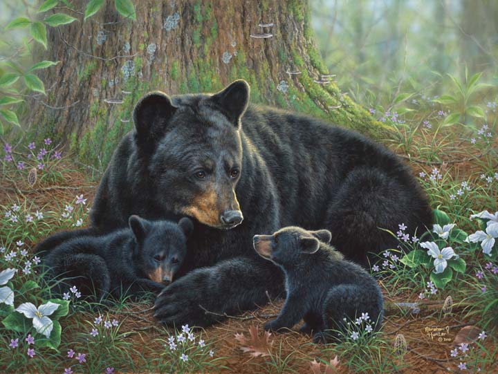 bear painting with cubs by abraham hunter