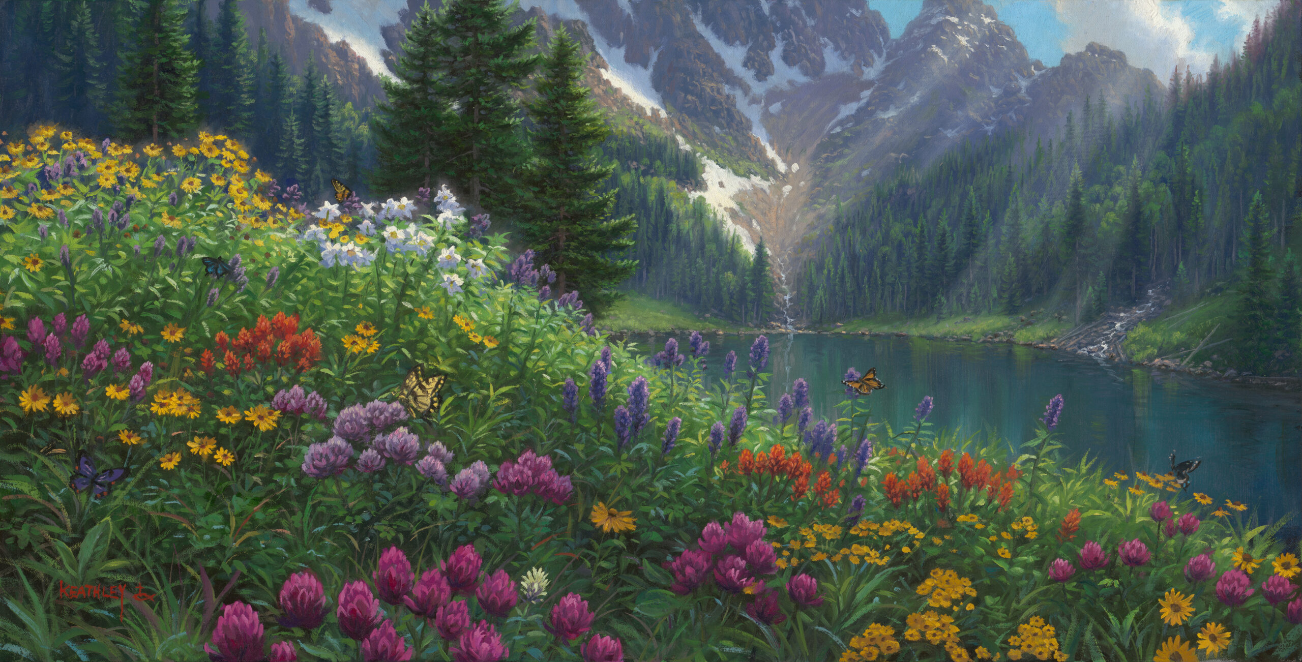 alpine meadow scaled 1.jpg alpine meadow scaled 1.jpg