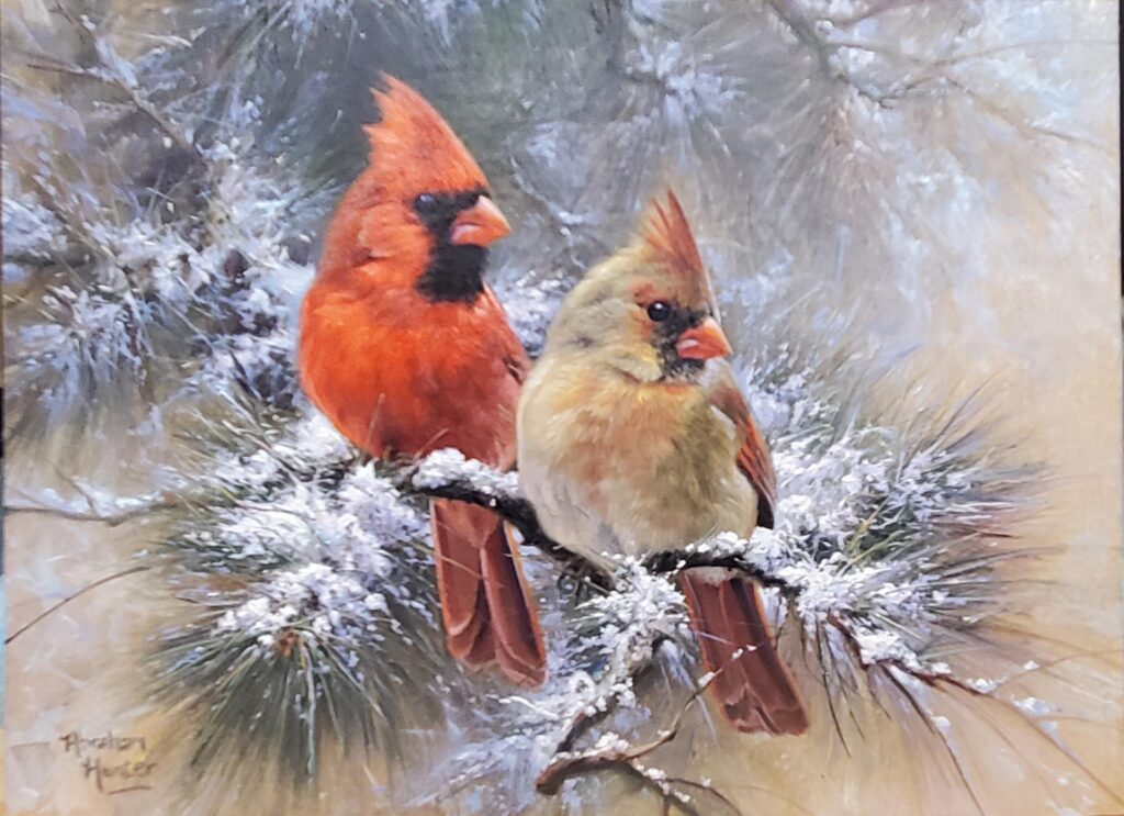 cardinals-in-evergreen