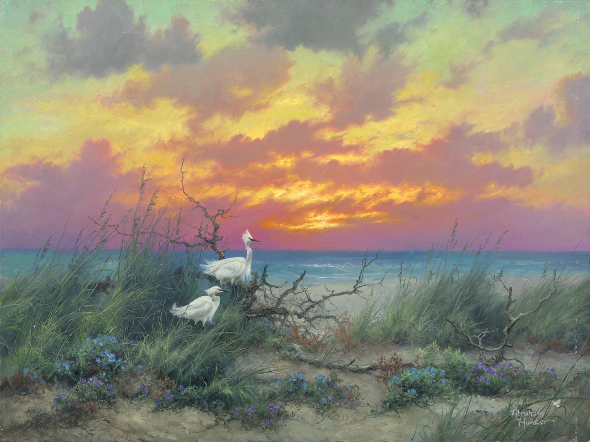 colors of the morning.jpg colors of the morning.jpg