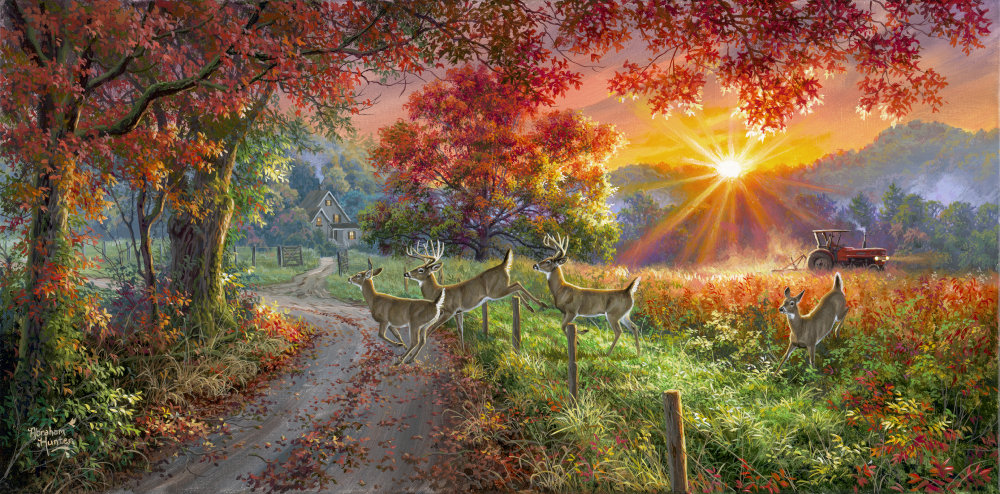 country-lane-whitetails