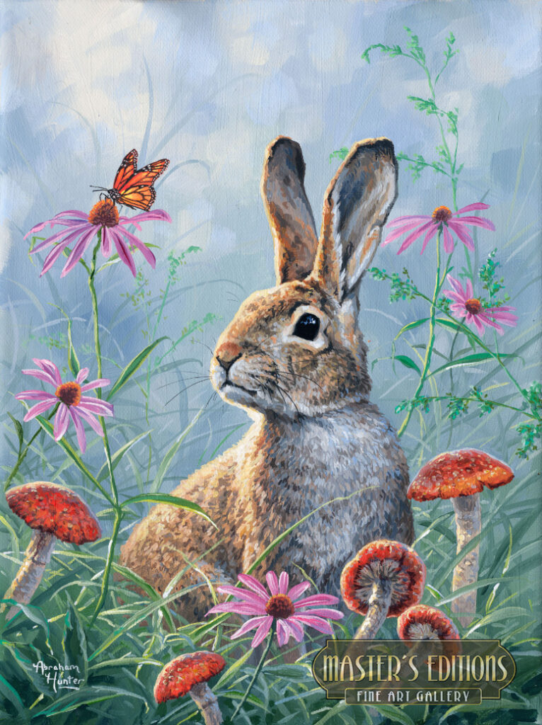 curious-cottontail
