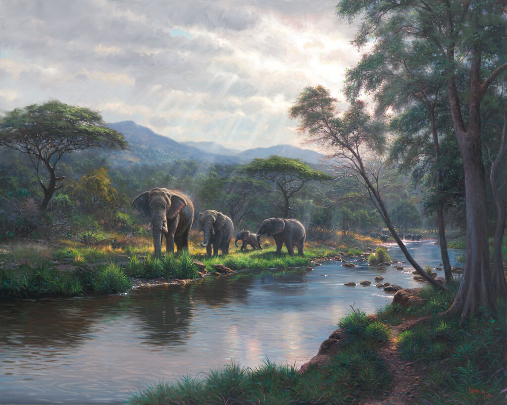 dreams-of-africa