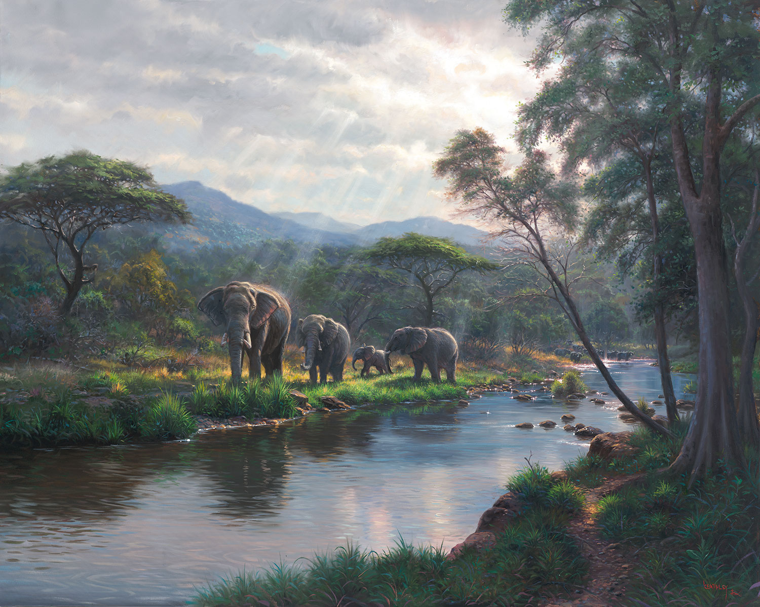 dreams of africa.jpg dreams of africa.jpg
