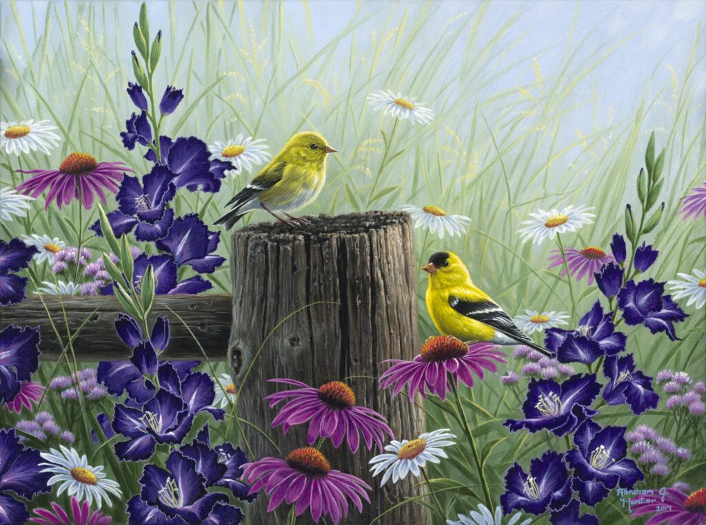 goldfinch-meadow