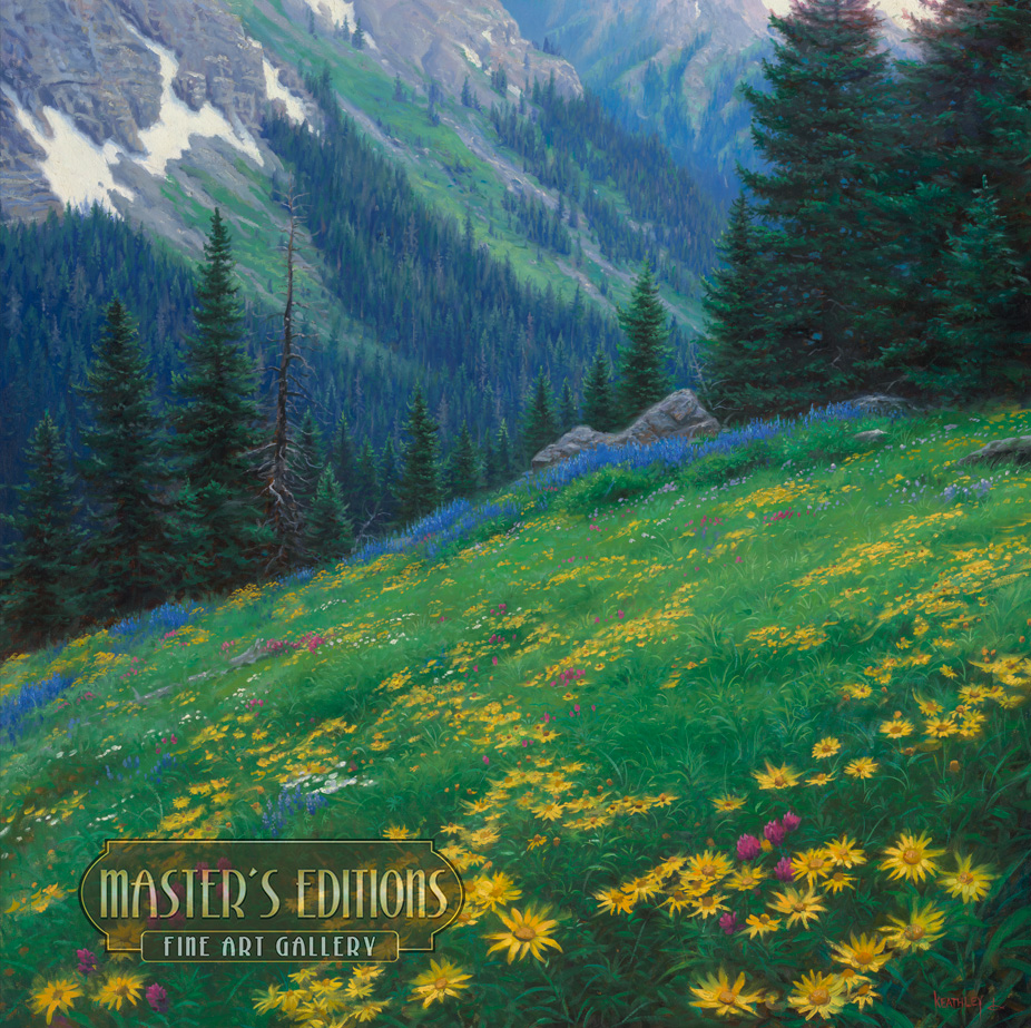 high-country-meadows