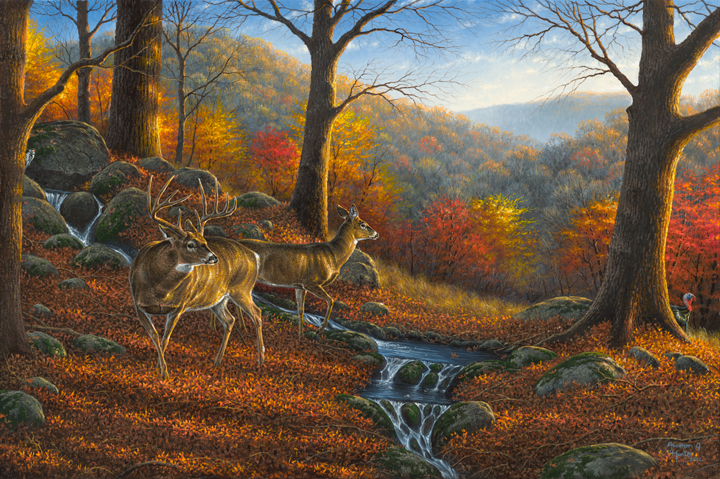 hunter-ridge