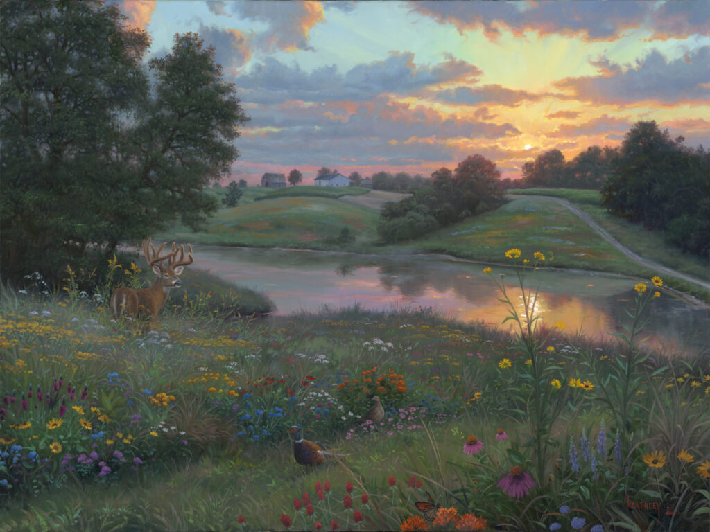 midwest-morning