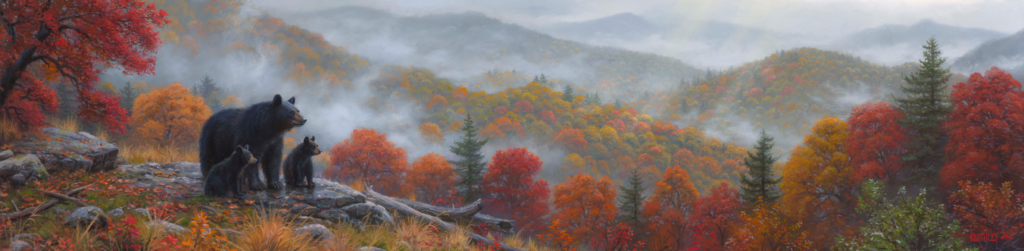 misty-view