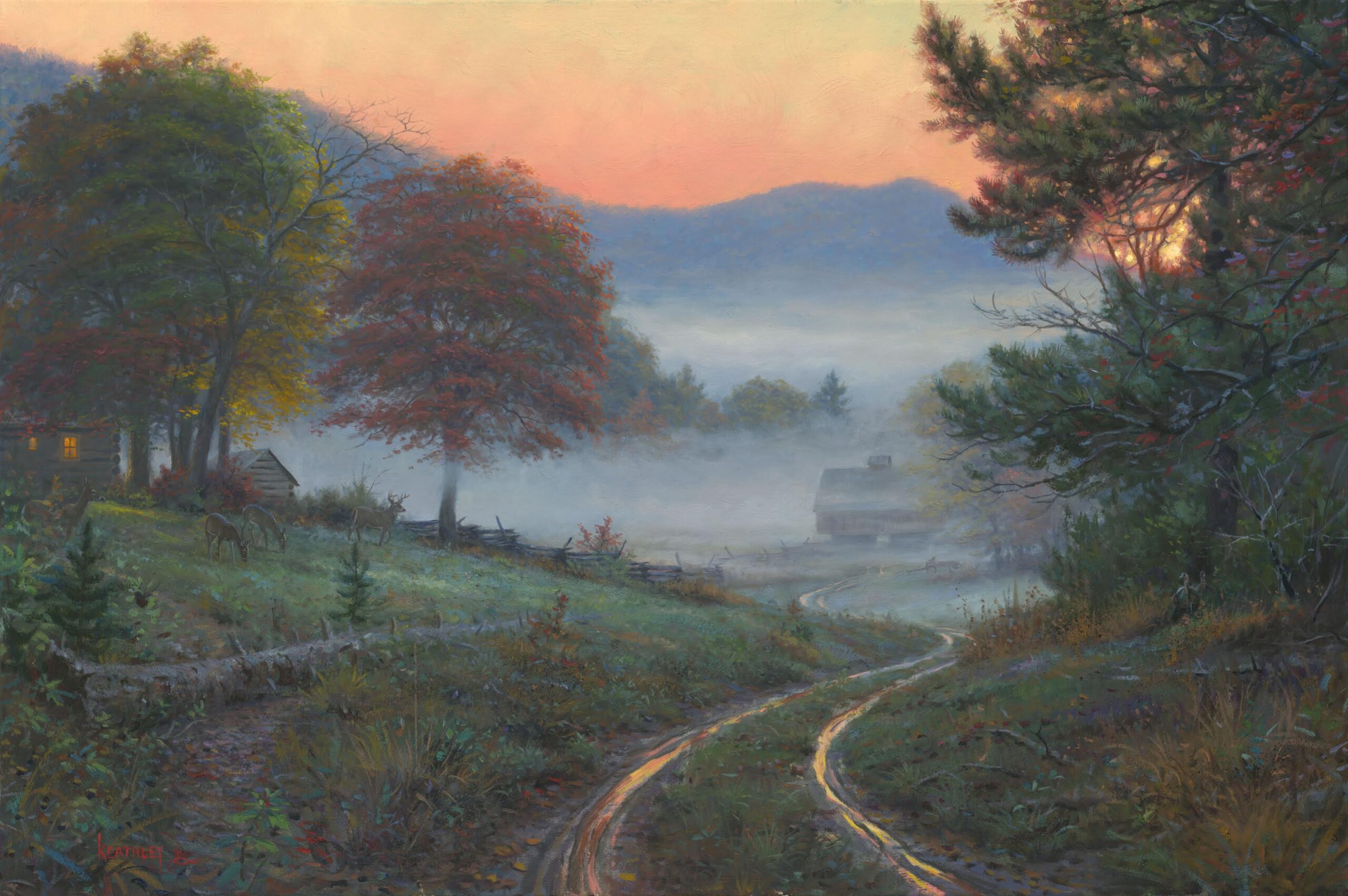 morning in cades cove scaled 1.jpg morning in cades cove scaled 1.jpg