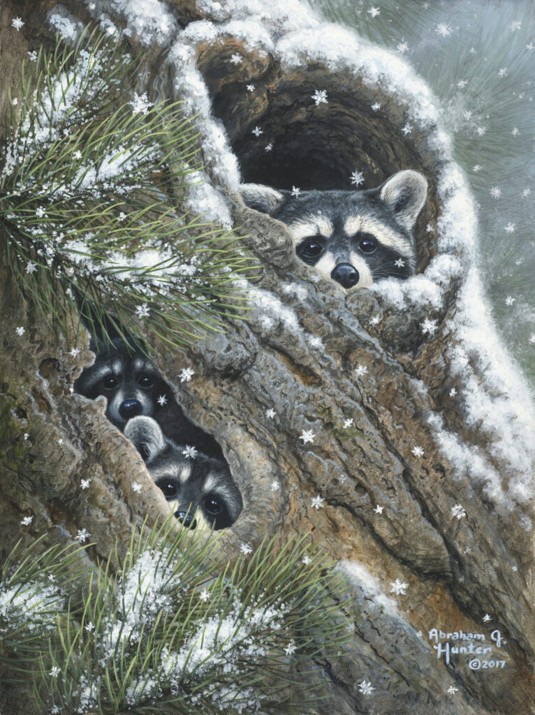 peek-a-boo