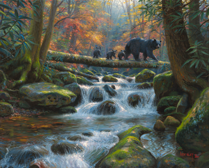 precarious-crossing