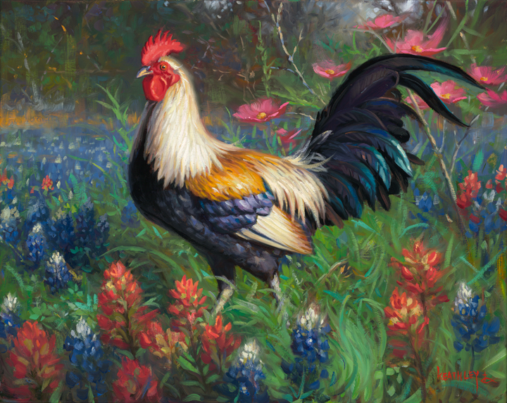 rooster-ii