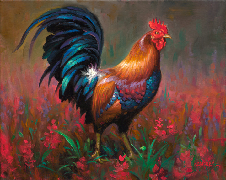 rooster