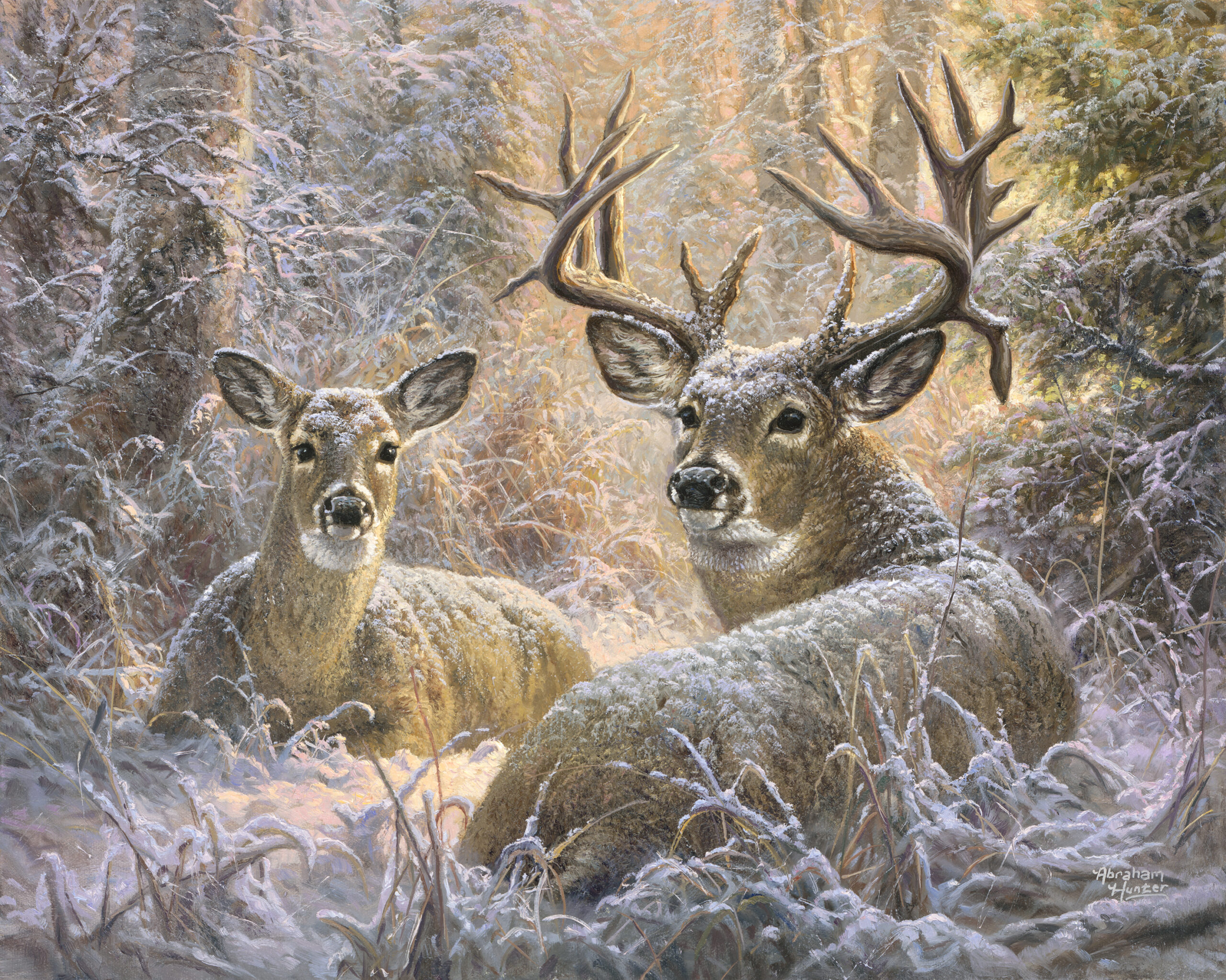 snowy seclusion scaled 1.jpg snowy seclusion scaled 1.jpg