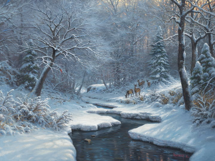 winter-blanket