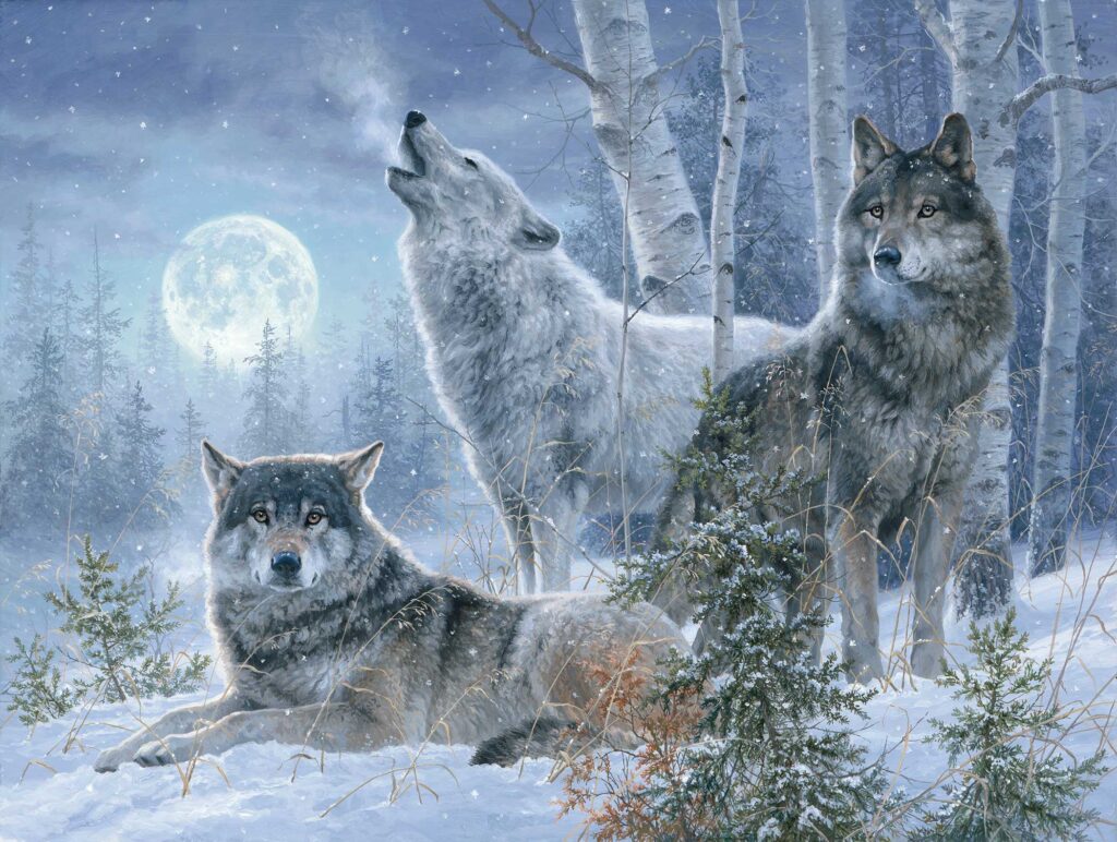 winter-moonrise