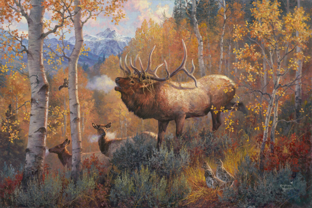 colorado-bugling-bull